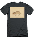 A Vole James Sowerby English T-Shirt