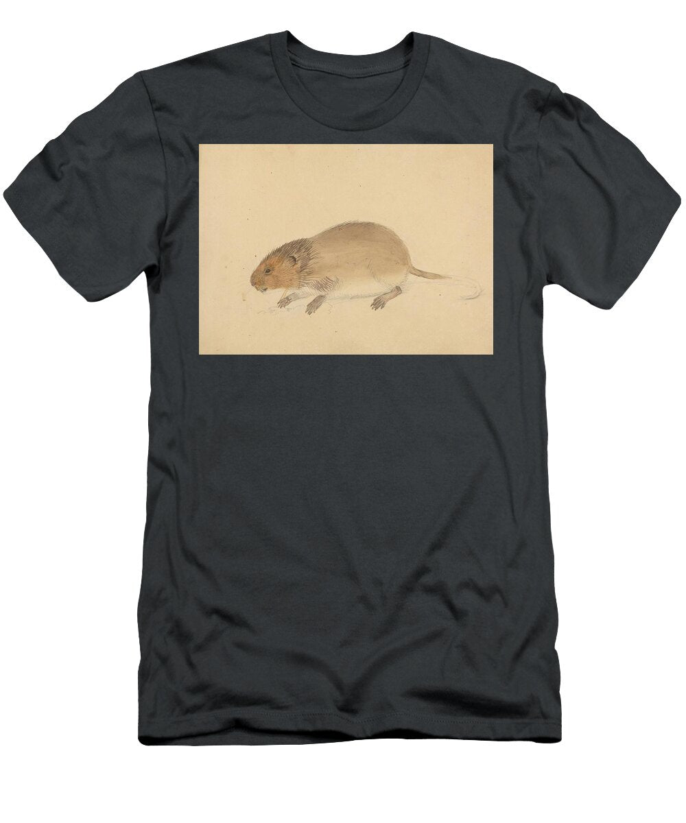 A Vole James Sowerby English T-Shirt