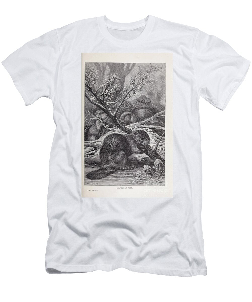 Beavers At Work X5 Historic Illustrations T-Shirt