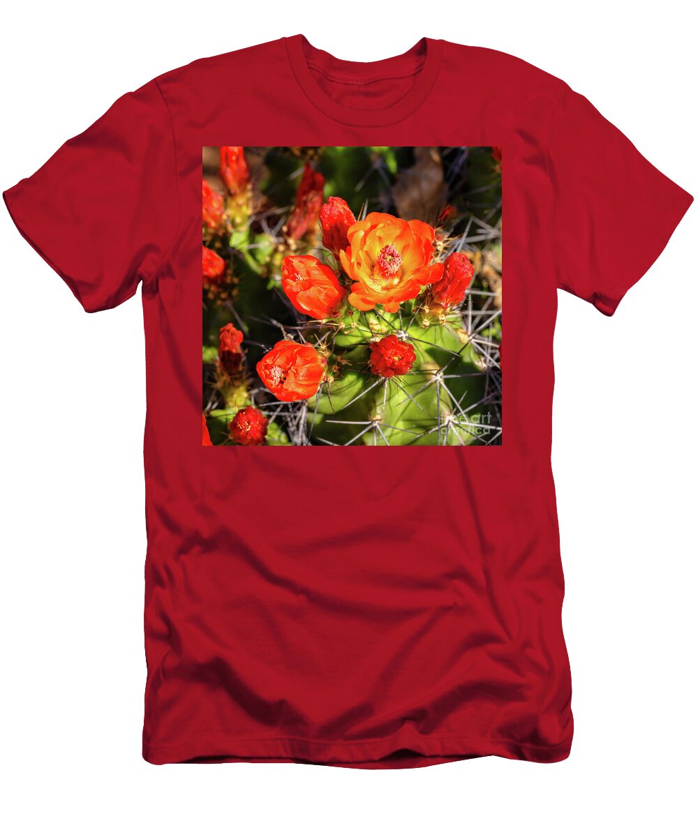 Claret Cups Cactus Flower Square Bee Creek Photography Tod and Cynthia T-Shirt