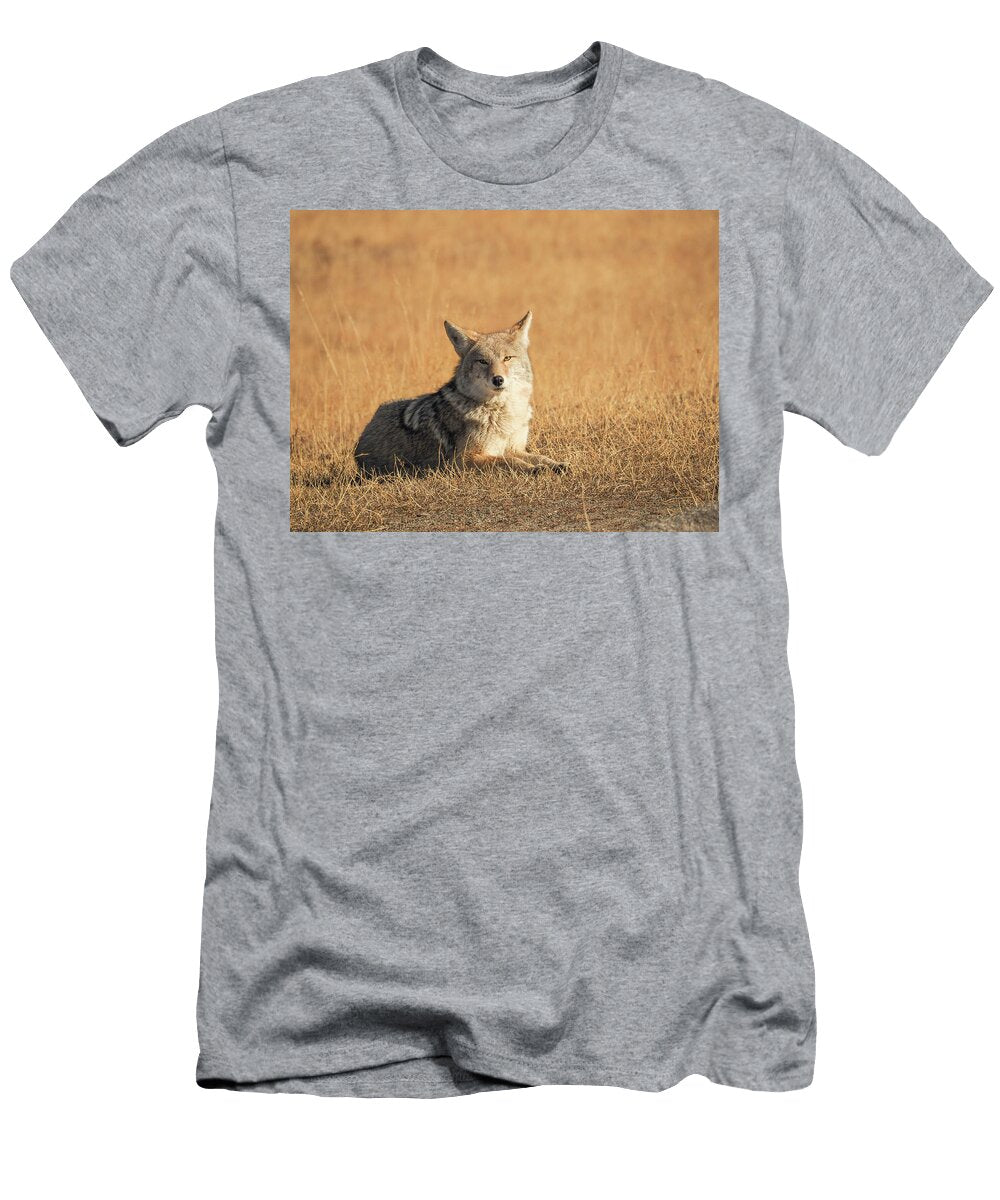 Coyote Portrait Jenny Golding T-Shirt
