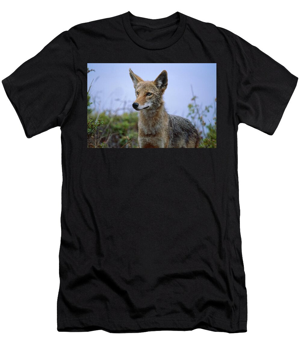 Coyotes Plight Soli Deo Gloria Wilderness and Wildlife Photography T-Shirt