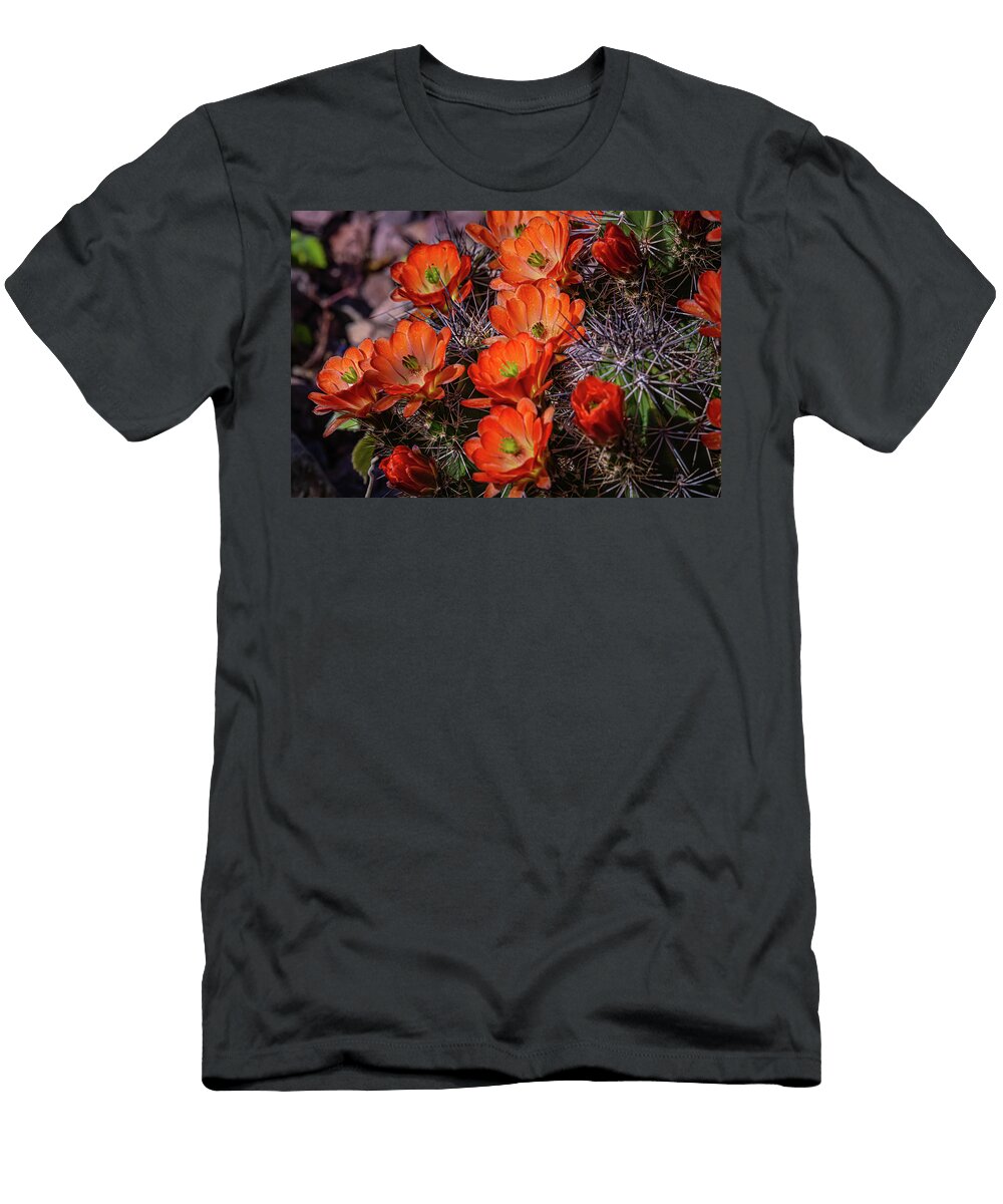 Hedgehog Cactus Flowers Linda Unger T-Shirt
