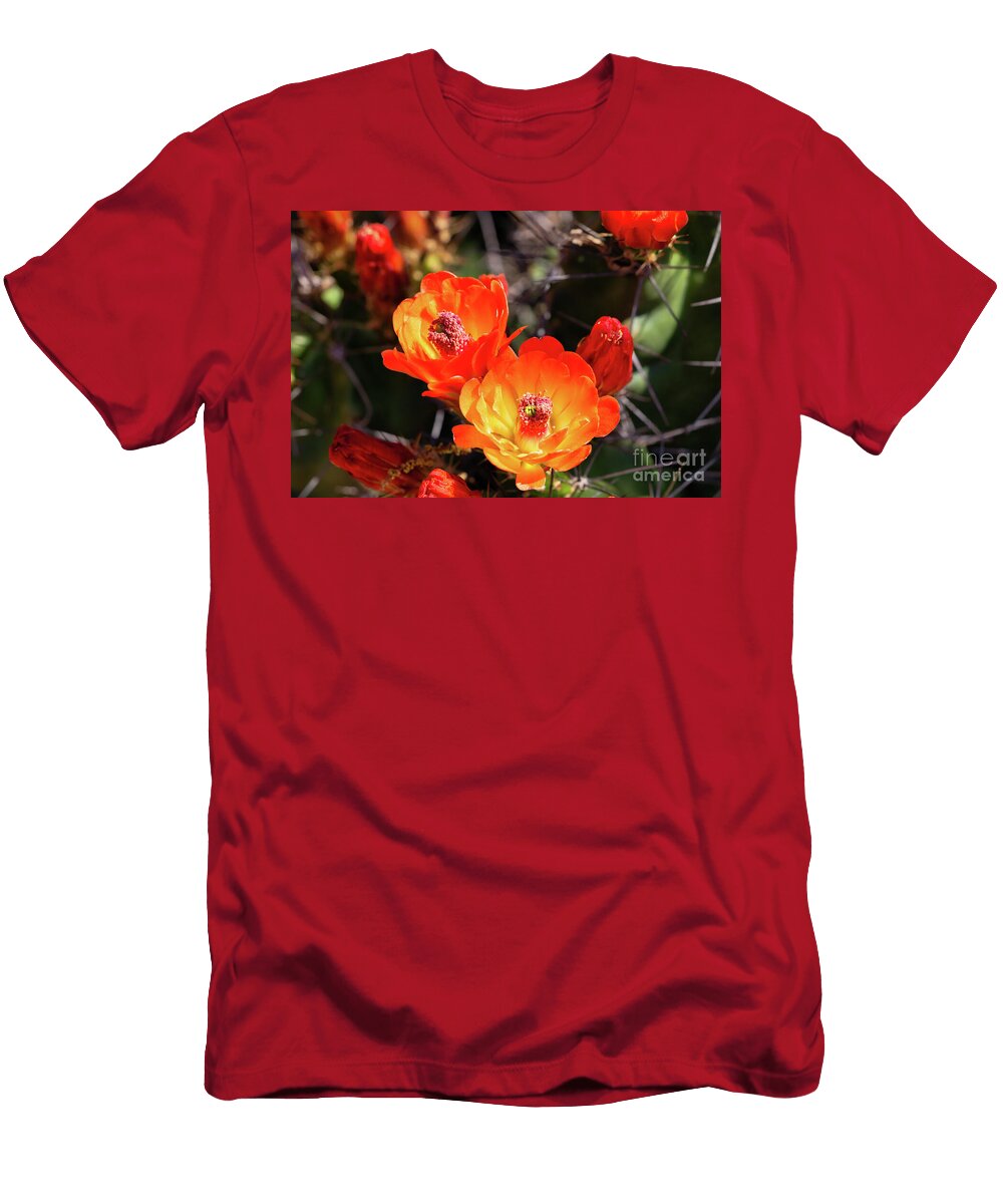 Orange Cactus Flowers Close Up Bee Creek Photography Tod and Cynthia T-Shirt