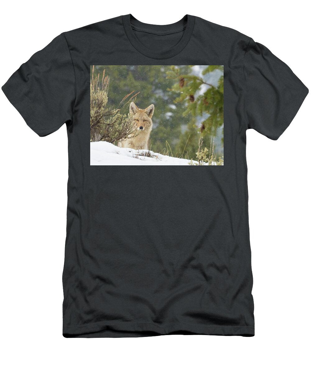 Sneaky Coyote Jenny Golding T-Shirt