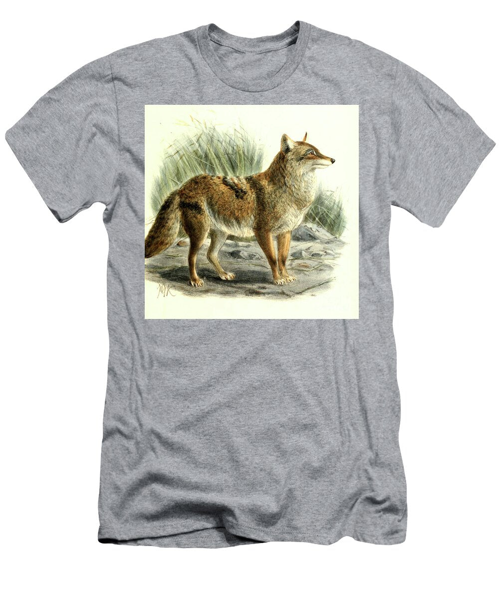 The Coyote Canis Latrans C1 Historic Illustrations T-Shirt