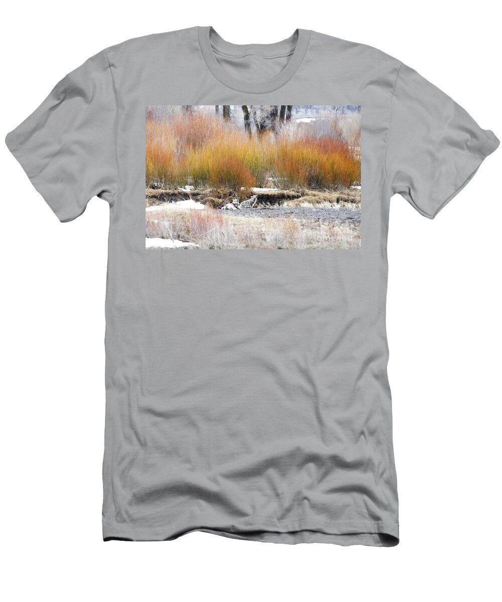The Wolf and the Coyote Deby Dixon T-Shirt