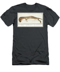 Weasel Mustela Nivalis 1596 1610 By Anselmus Boetius De Boodt Anselmus Boetius De Boodt T-Shirt
