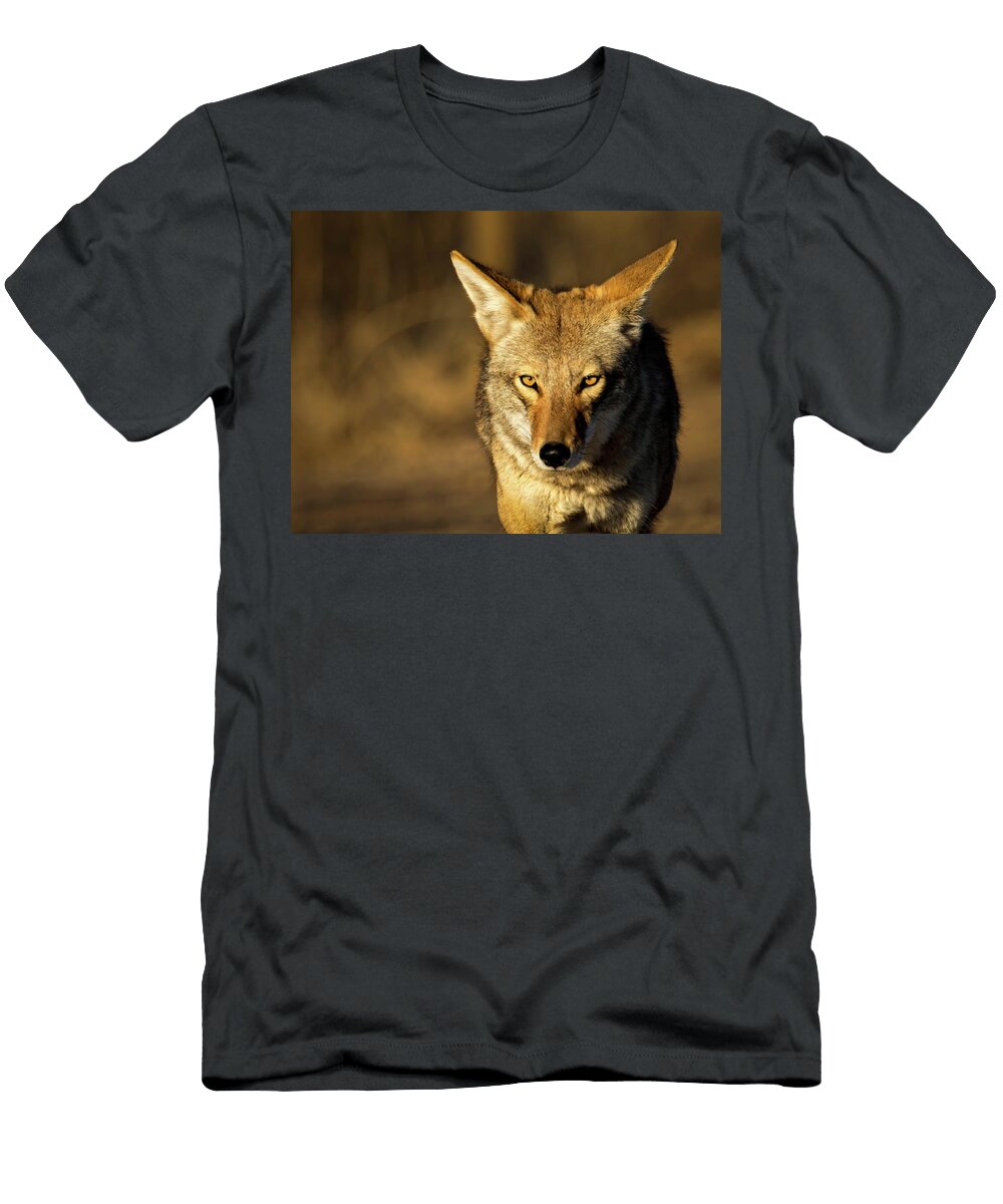 Wiley Coyote Rebecca Herranen T-Shirt